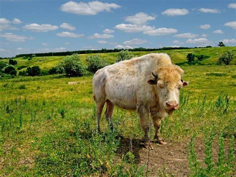 30 Photos Of North Dakota That Will Make You Want To Move There North