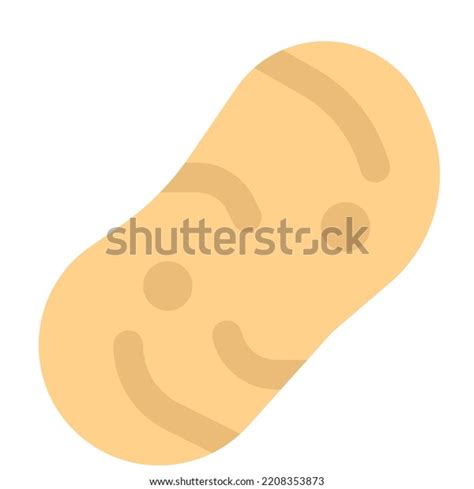 Potato Edible Tuber Rich Starch Stock Vector Royalty Free