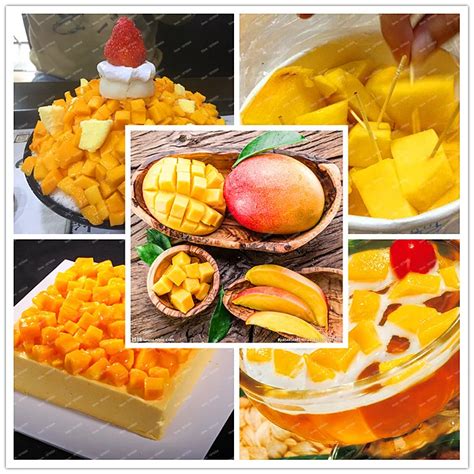 Mango Seeds 3Pcs - Best Seeds Online | Free Shipping Worldwide ...