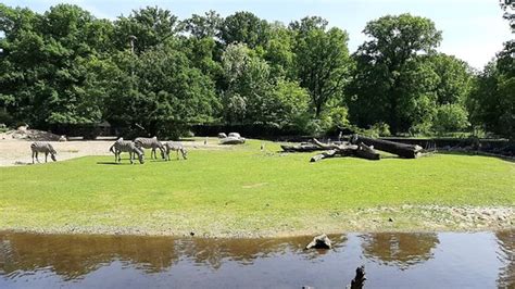 Tierpark Cottbus