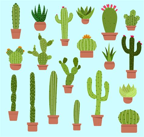 Different Types Of Cactus In Pots Are Arranged On A Blue Background