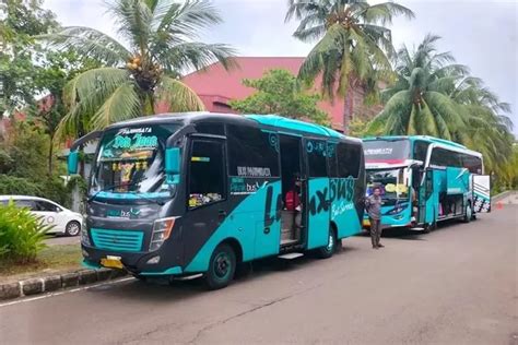 Bingung Mau Sewa Bus Buat Liburan Cek Saja Piknik Bus Punya