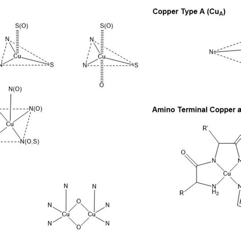 Chemical Structural Representation Common Cu Binding Modalities In