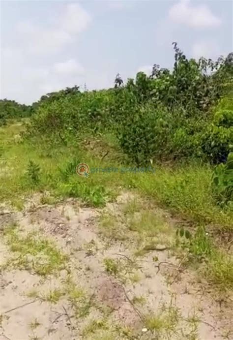 For Sale Land Iba Oloja Behind Lekki Free Trade Zone Ibeju Lekki Lagos