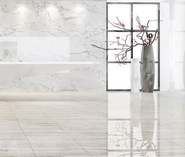 Letina Tiles Digital Wall Tiles Ceramic Wall Tiles Double Charge