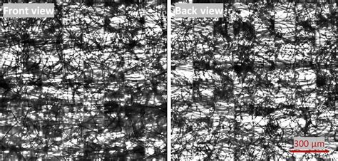 microscope images    sides   thin layer