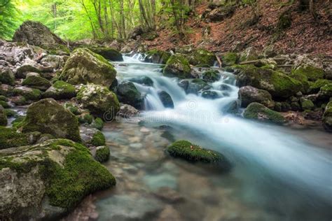 Fiume Della Montagna In Foresta E Nel Terreno Della Montagna Fotografia