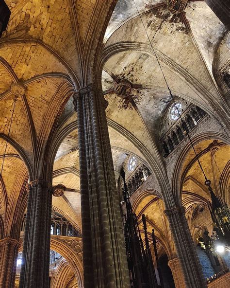 Neda Advisor Barcelona Cathedral Places To Visit Visiting