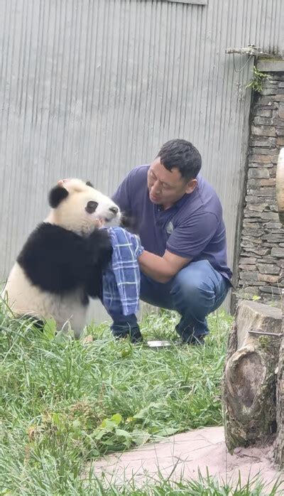 贤贤崽蕊蕊崽 花花 福宝 睿宝爱宝辉宝 高清图片，堆糖，美图壁纸兴趣社区