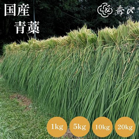 【楽天市場】秀〆 正月飾り 材料 青藁 青わら 国産 1kg 5kg 10kg 20kg 大容量 お徳用 藁 わら 稲わら 長藁 長わら 藁 ...