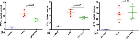 Antifibrinolytic Agent Tranexamic Acid Suppresses The Endotoxin