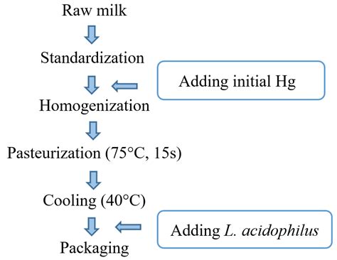 Mercury Biodecontamination from Milk by using L. acidophilus ATCC 4356 ...