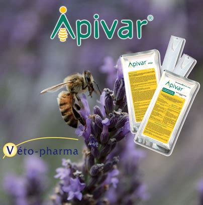 Apivar 50 Strips for Varroa Jacobsoni Mite Killer for Bees. from Bee Expert
