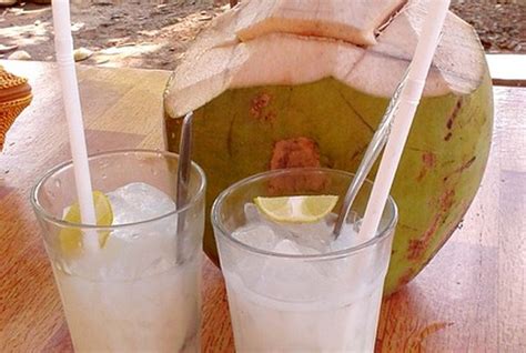 Rutin Minum Air Kelapa Muda Datangkan 6 Manfaat Baik Bagi Tubuh Apa