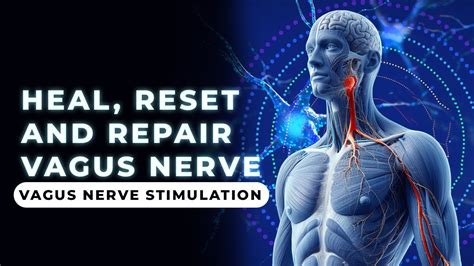 Vagus Nerve Reset Sleep Meditation Music Hz Vagus Nerve