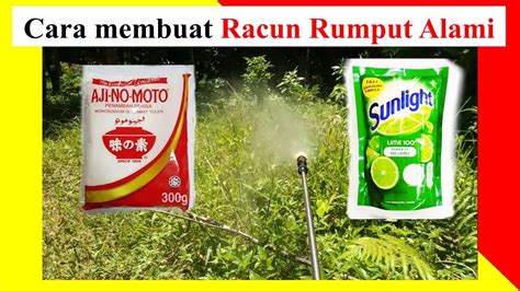 Cara Membuat Racun Rumput Alami Ampuh Guna Micin Ajinomoto Dengan