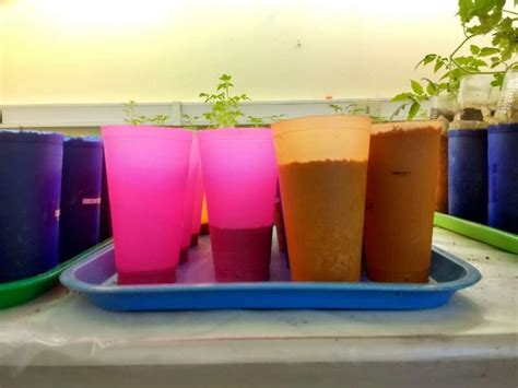 Racing to the roots: Soil moisture impacts the speed of nematodes