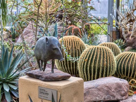 Indoor Gardens | Frederik Meijer Gardens & Sculpture Park | Travel The ...