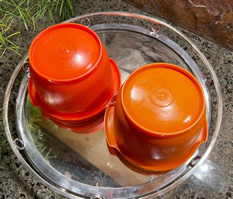 Orange Vintage Tupperware Covered Bowl Set Tupperware Fall Colors 1970