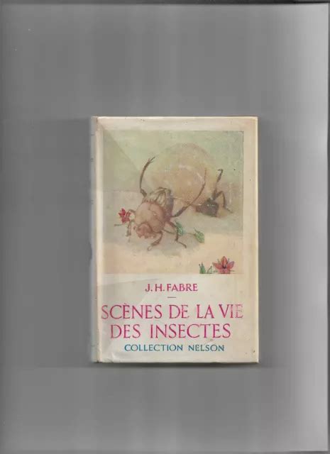 Livre Ancien Collection Nelson Sc Nes De La Vie Des Insectes Par J H