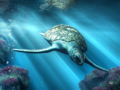 Digital Art Sea Turtle