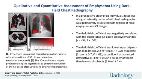 Qualitative And Quantitative Assessment Of Emphysema Using Dark Field