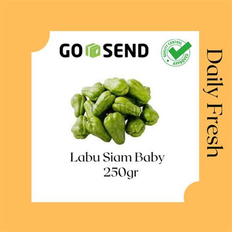 Jual Sayur Segar Labu Siam Baby Labu Siam Kecil Sayuran Labu Siam