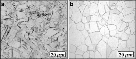 Optical Micrograph Of Investigated Material At Initial Stage Aisi 301