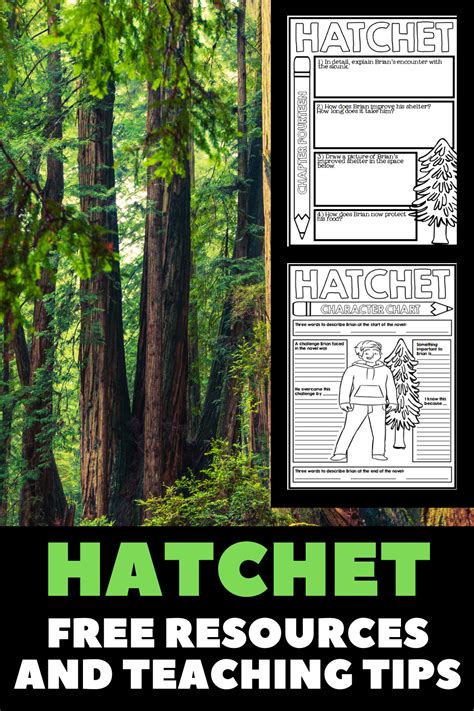 Hatchet Free Resources And Teaching Tips Artofit