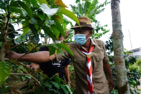 Sasar Pasar Internasional Pemkab Subang Gelar Festival Kopi Dan