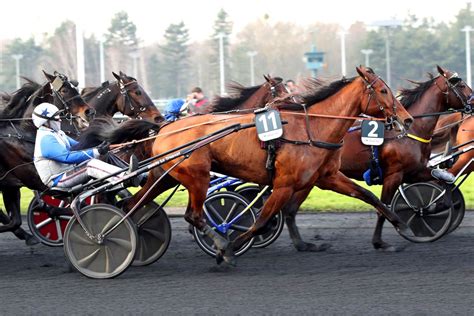 Dimanche à Vincennes Prix de France Ampia Mede Sm défendra son titre