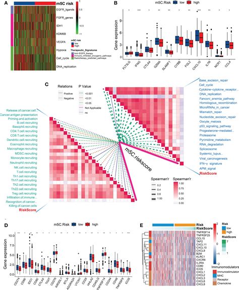 Frontiers M C Regulator Mediated Modification Patterns And Tumor