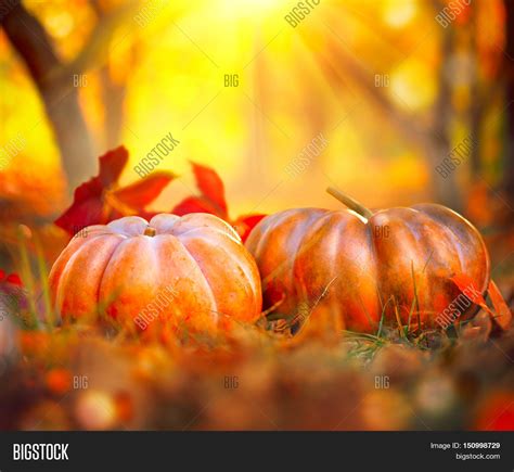 Autumn Halloween Image & Photo (Free Trial) | Bigstock