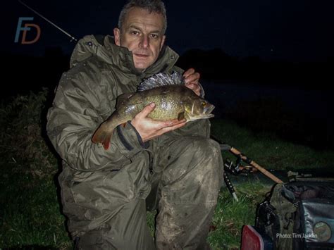 River Perch Fishing Stop Relying On Luck To Catch Big Perch