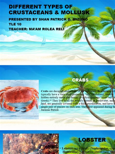 Different Types of Crustaceans Mollusk Shan | PDF | Crab