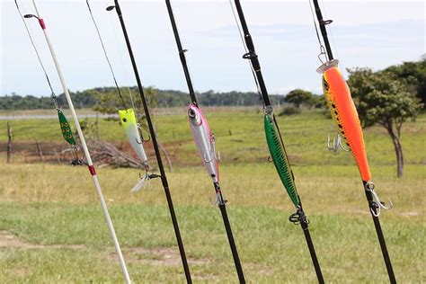 Ca As De Pescar De Varios Colores Pesca Ca A De Pescar Deporte R O