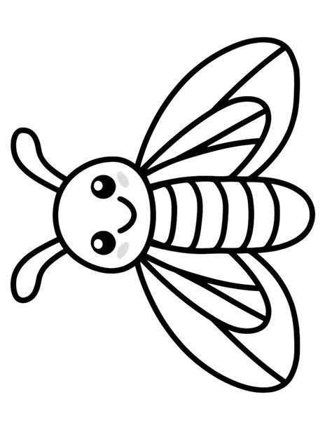 15 Diverse Moth Coloring Pages – My Coloring Spot