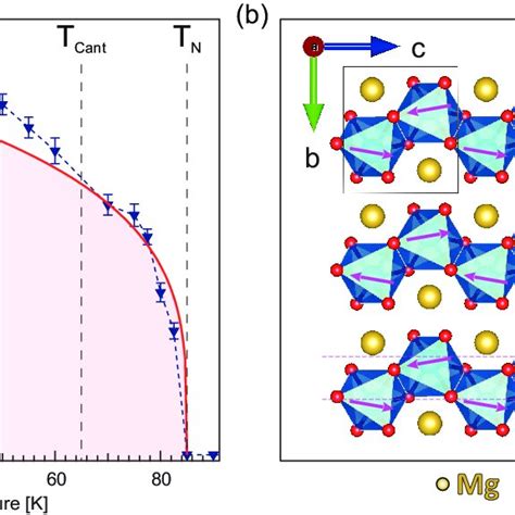 A Order Parameter Of The Magnetic Phase Transition Represented By The