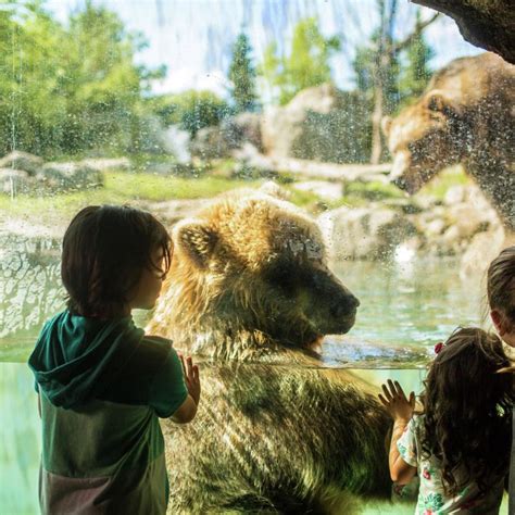 Como Park Zoo And Conservatory Explore Minnesota