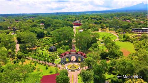 Pesona Kebun Raya Terbaik Di Indonesia Tahun 2023 INDROKILO BOTANICAL