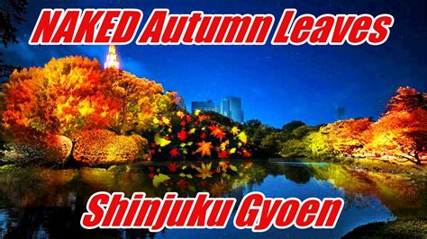 NAKED Autumn Leaves Shinjuku Gyoen Immersive Autumn Light Up