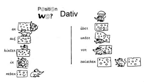 Pr Positionen Dav Diagram Quizlet