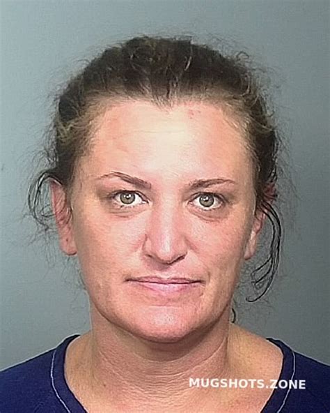 Shirley Elizabeth Manatee County Mugshots Zone