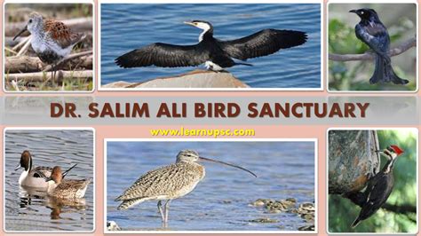 dr salim ali bird sanctuary learn upsc