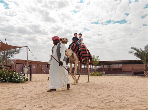 The camel Farm Dubai