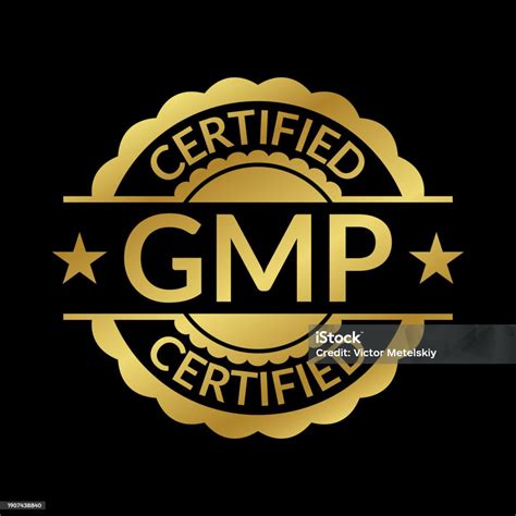 Gmp Certified Icon Or Logo Good Manufacturing Practice Stamp Or Badge Vector Illustration Stock