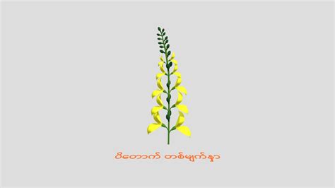 Padauk Flower Myanmar Thingyan Download Free 3d Model By Ayar