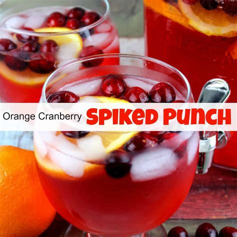 Cranberry Orange Vodka Punch Recipe | Besto Blog