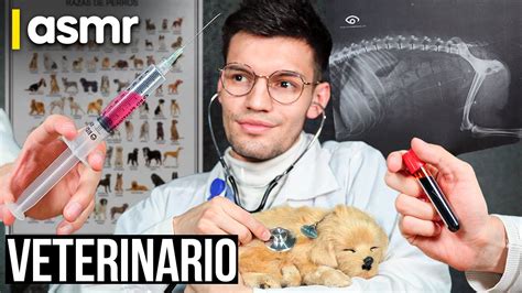 ASMR roleplay medico veterinario ASMR español YouTube