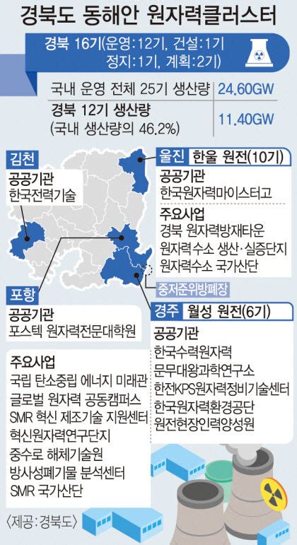 경북 원자력 산업의 역사 2 원전 기술자립 40년 여정 경북서 꽃피우다 영남일보 사람과 지역의 가치를 생각합니다